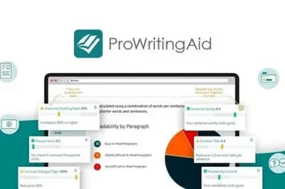 Prowritingaid Premium