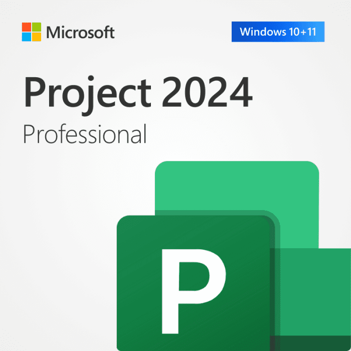 Project Professional 2024 Retail For Pc